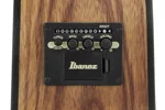ibanez-v40wsce-opb-open-pore-brown