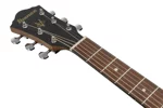 ibanez-v40wsce-opb-open-pore-brown