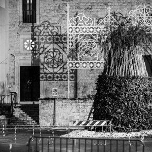 20240111_castellana%20grotte_le%20fanoÌve_29.jpeg 20240111_castellana%20grotte_le%20fanoÌve_29.jpeg