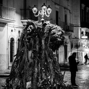 20240111_castellana%20grotte_le%20fanoÌve_17.jpeg 20240111_castellana%20grotte_le%20fanoÌve_17.jpeg