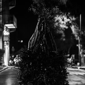 20240111_castellana%20grotte_le%20fanoÌve_8.jpeg 20240111_castellana%20grotte_le%20fanoÌve_8.jpeg