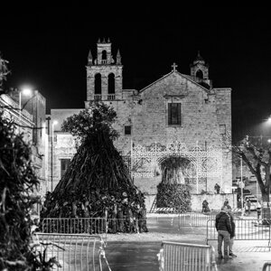 fanove 2025_58.jpeg fanove 2025_58.jpeg