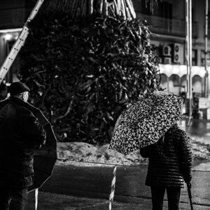 20240111_castellana%20grotte_le%20fanoÌve_25.jpeg 20240111_castellana%20grotte_le%20fanoÌve_25.jpeg