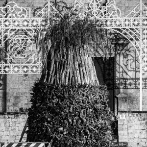 20240111_castellana%20grotte_le%20fanoÌve_39.jpeg 20240111_castellana%20grotte_le%20fanoÌve_39.jpeg