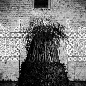 20240111_castellana%20grotte_le%20fanoÌve_26.jpeg 20240111_castellana%20grotte_le%20fanoÌve_26.jpeg