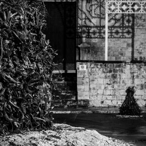 20240111_castellana%20grotte_le%20fanoÌve_56.jpeg 20240111_castellana%20grotte_le%20fanoÌve_56.jpeg