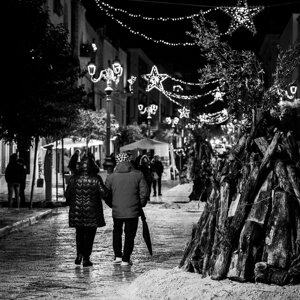 20240111_castellana%20grotte_le%20fanoÌve_16.jpeg 20240111_castellana%20grotte_le%20fanoÌve_16.jpeg