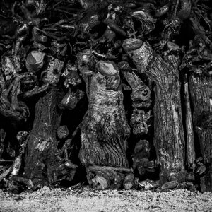 20240111_castellana%20grotte_le%20fanoÌve_31.jpeg 20240111_castellana%20grotte_le%20fanoÌve_31.jpeg