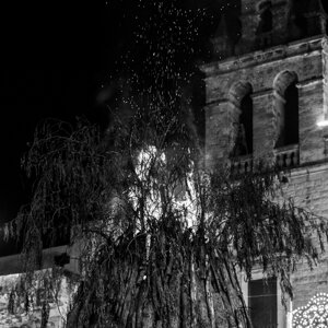 20240111_castellana%20grotte_le%20fanoÌve_47.jpeg 20240111_castellana%20grotte_le%20fanoÌve_47.jpeg