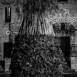 20240111_castellana%20grotte_le%20fanoÌve_49.jpeg 20240111_castellana%20grotte_le%20fanoÌve_49.jpeg