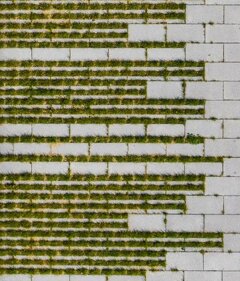 5066a5f457c98424d6419b5af938303a.jpeg 5066a5f457c98424d6419b5af938303a.jpeg