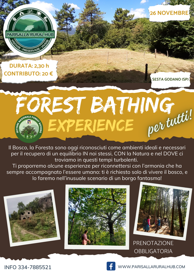 forest bathing pionieri ok (1)