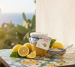 marmellata-di-limoni