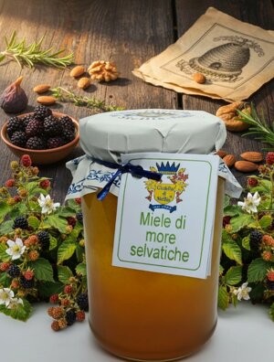 miele-di-more-selvatiche