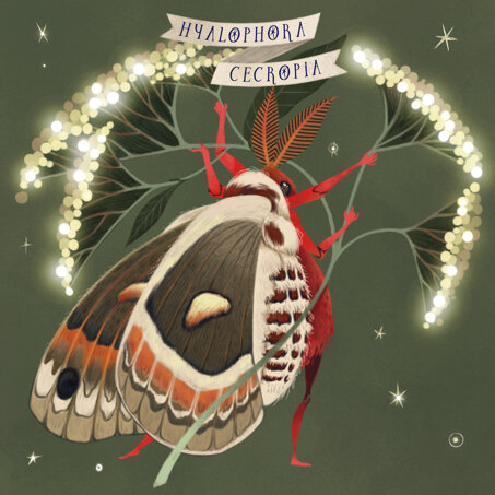 portfolio barbanera 4.jpeg