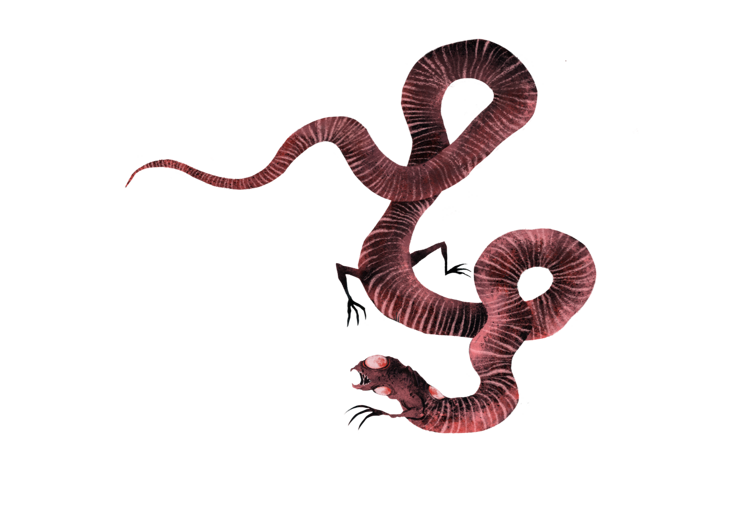 disegnicopertinacopia2