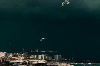 galleria_animataÌ-12.jpeg galleria_animataÌ-12.jpeg