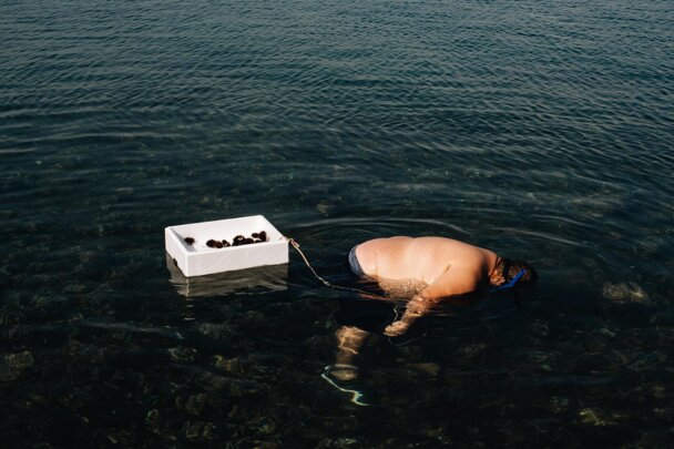 galleria_animatà-1.jpeg galleria_animatà-1.jpeg