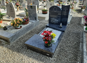 daneluz%20fiori%20sx