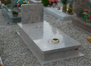 de%20pellegrin%20%20dx