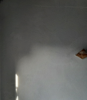 foto%2019