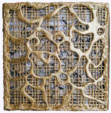 img_20240224_114436.jpeg img_20240224_114436.jpeg