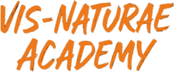 vis-naturae logo 2 vis-naturae logo 2