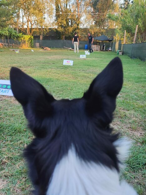 whatsapp image 2022-09-01 at 21.28.56.jpeg whatsapp image 2022-09-01 at 21.28.56.jpeg