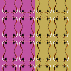 foto fine art ritratto