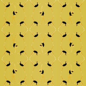 foto fine art ritratto