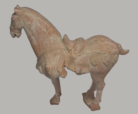 cavallo.jpeg