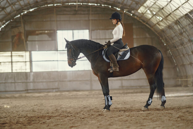 elegant-girl-farm-wiith-horse.jpeg
