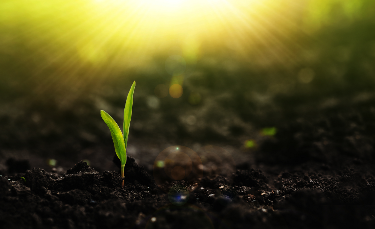 eyJpdCI6Ikh1bXVzIGRpIGxvbWJyaWNvIHBlciBsYSBzYWx1dGUgZGVsbGUgcGlhbnRlIHwgSHVtdXMgaW4gUGVsbGV0IHwgTWFuZ2ltZSBSZXR0aWxpIC0gUGVzY2kgLSBVY2NlbGxpIHwgQ29uY2ltZSBhZCBhbHRhIHByb3ByaWV04CBudXRyaXRpdmEgfCBBbW1lbmRhbnRlIG9yZ2FuaWNvIG5hdHVyYWxlIHwgRmVydGlsaXp6YW50ZSBiaW9sb2dpY28gYWwgMTAwJSB8IEFjcXVpc3RhIE9ubGluZSB8IFNob3AgT25saW5lIHwgT3N0dW5pIHwgT2ZmaWNpYWwgUGFydG5lciBvZiBHcm93dmVyc2UgTWV0YXZlcnNlIn0= eyJpdCI6Ikh1bXVzIGRpIGxvbWJyaWNvIHBlciBsYSBzYWx1dGUgZGVsbGUgcGlhbnRlIHwgSHVtdXMgaW4gUGVsbGV0IHwgTWFuZ2ltZSBSZXR0aWxpIC0gUGVzY2kgLSBVY2NlbGxpIHwgQ29uY2ltZSBhZCBhbHRhIHByb3ByaWV04CBudXRyaXRpdmEgfCBBbW1lbmRhbnRlIG9yZ2FuaWNvIG5hdHVyYWxlIHwgRmVydGlsaXp6YW50ZSBiaW9sb2dpY28gYWwgMTAwJSB8IEFjcXVpc3RhIE9ubGluZSB8IFNob3AgT25saW5lIHwgT3N0dW5pIHwgT2ZmaWNpYWwgUGFydG5lciBvZiBHcm93dmVyc2UgTWV0YXZlcnNlIn0=