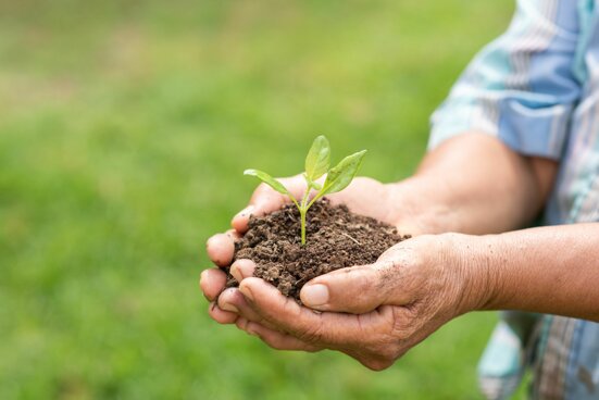 elderly-person-holding-plant elderly-person-holding-plant