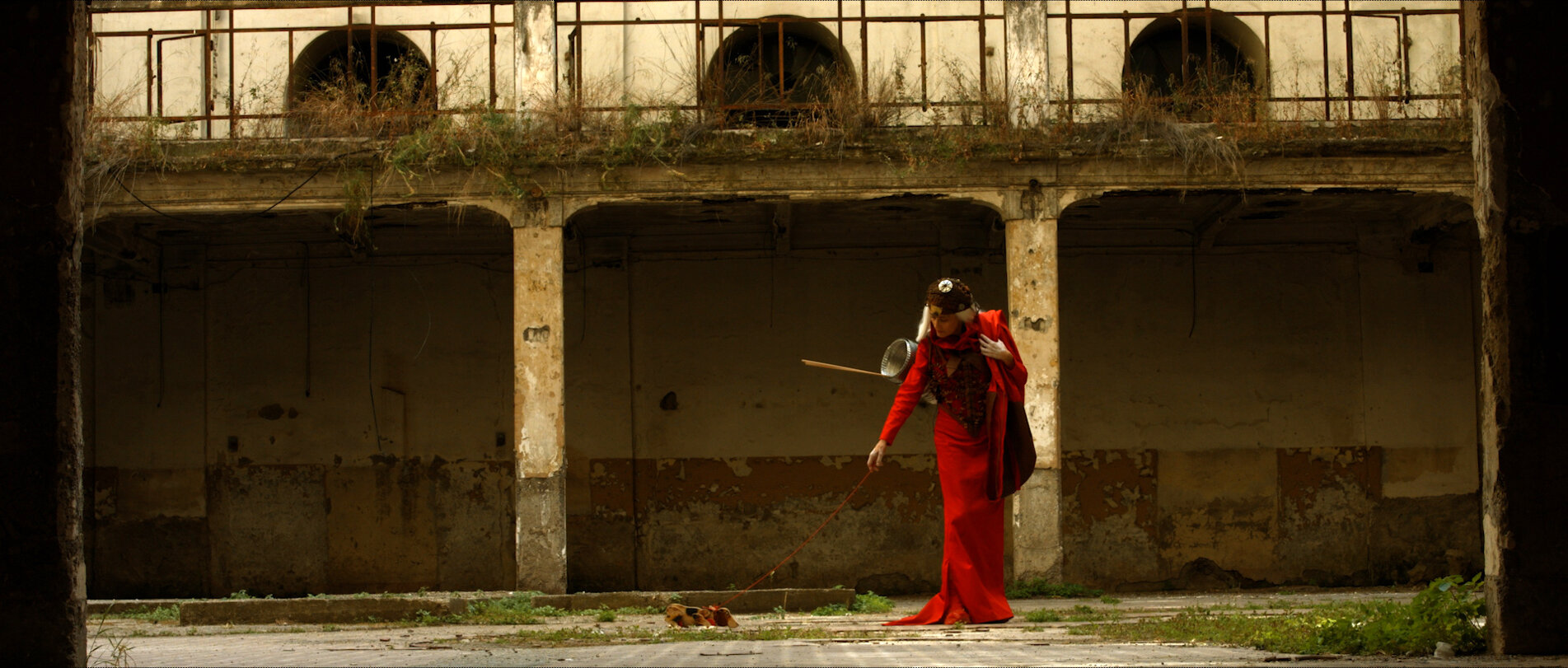 coralina cataldi-tassoni in a frame from a moving read by mariano baino.jpeg