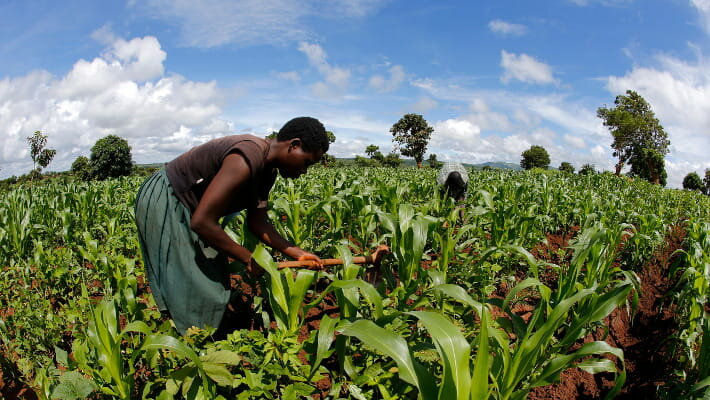 Non per loro scelta: il prezzo dei conflitti globali per le economie africane