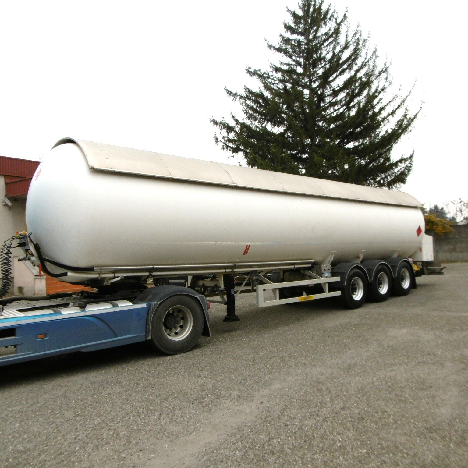 p1000403.jpeg p1000403.jpeg