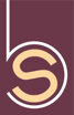 logo studio baliva.jpeg
