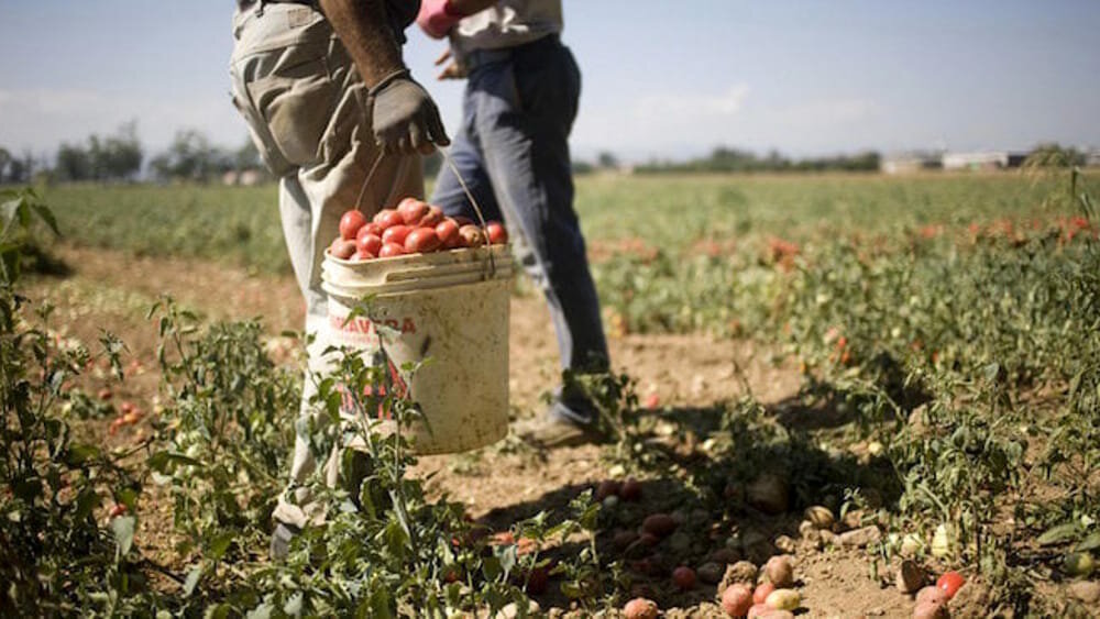 Procedure più snelle per il permesso unico lavoro