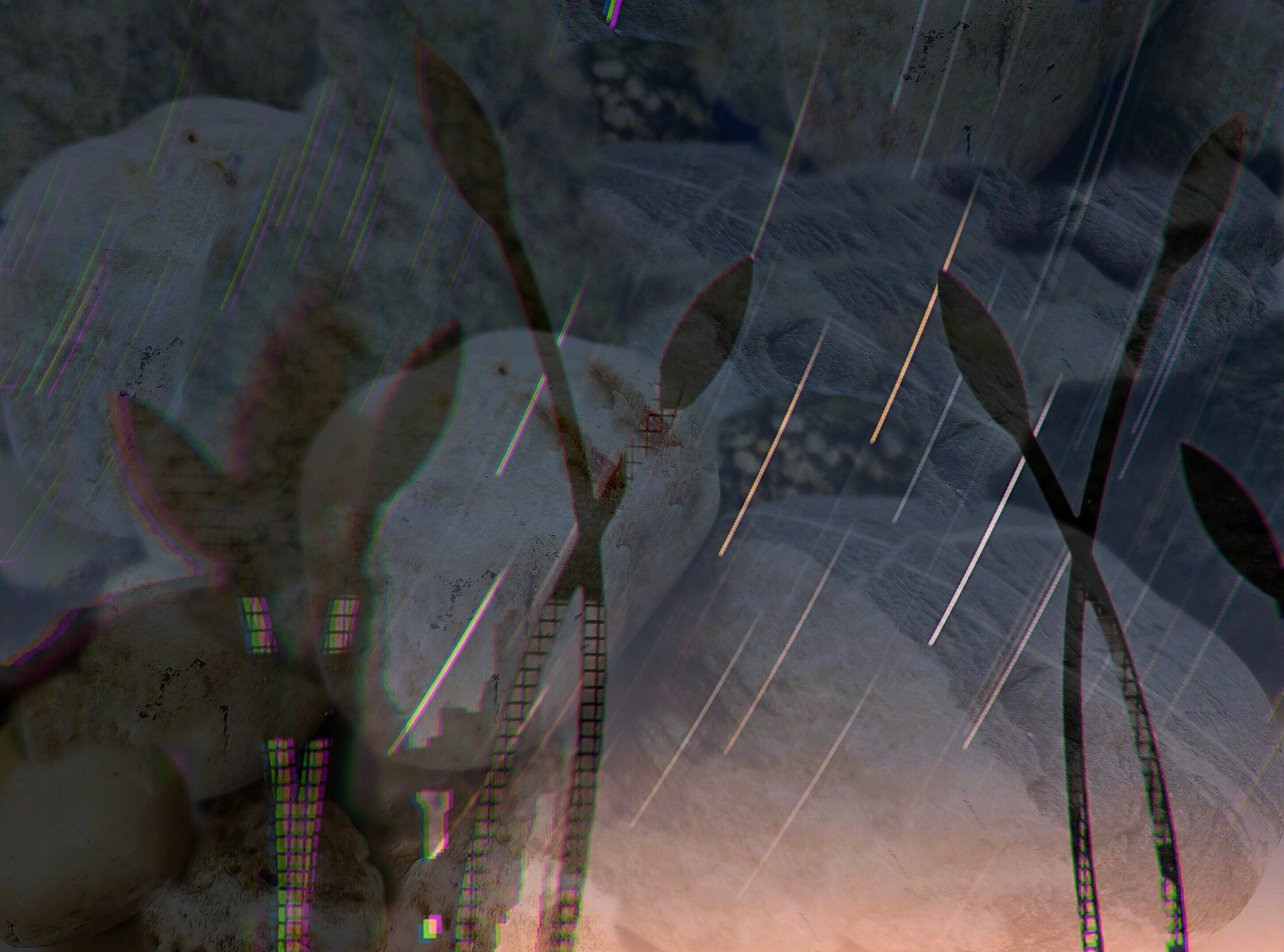 Giovani, Medioriente e manifestazioni: son sempre chiare le ragioni? E la scuola che ruolo ha?