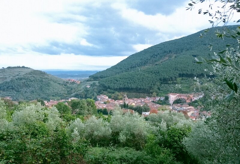 Passi d’Olio: l’esperienza di cammino nella rassegna Olio in Castello a Buti