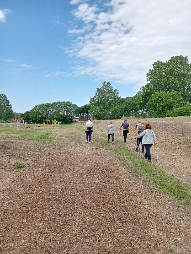 Il movimento: il farmaco più antico e potente del mondo