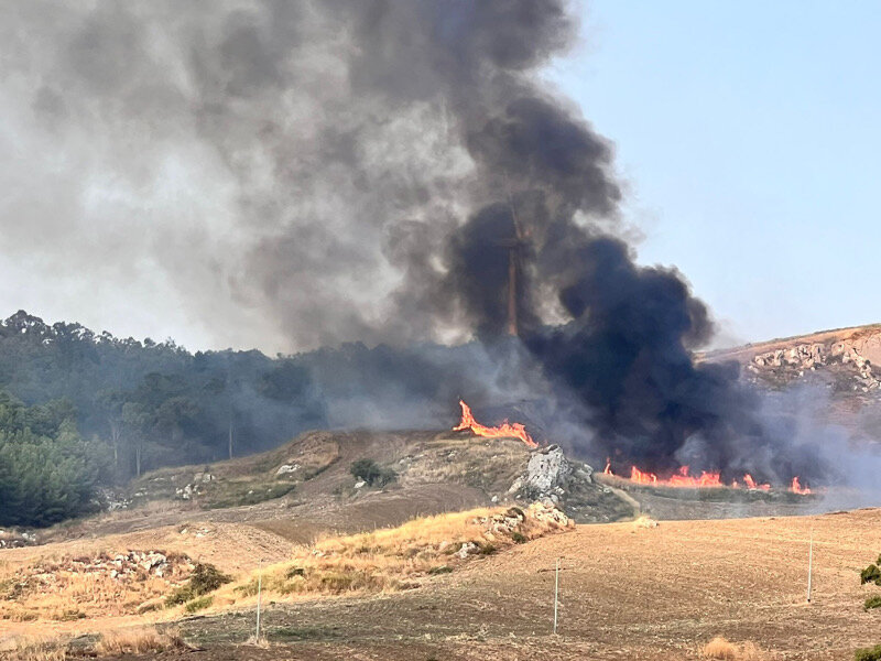 Fiamme in diverse zone della Sicilia, provvidenziali interventi di Vigili e Forestale