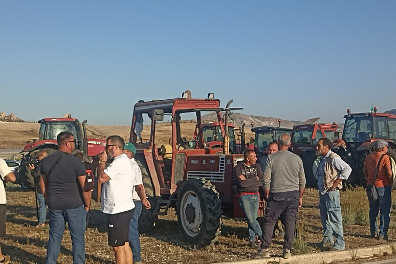 Agricoltori in strada contro il caro carburanti, Sammartino annuncia sostegni