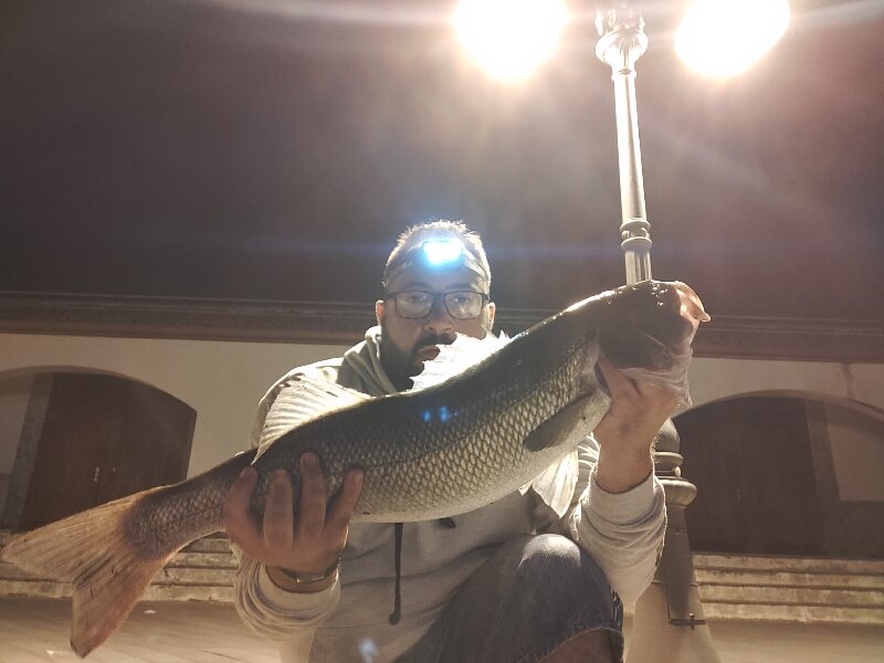 Nuove regole per la pesca in mare Nuove regole per la pesca in mare