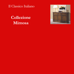collezione mimosa.jpeg