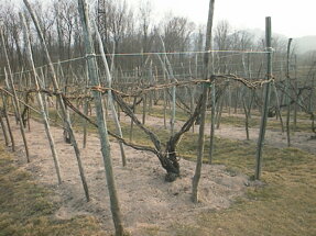 img_1083.jpeg