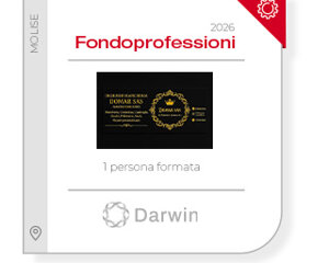id%201345%20-%20saver%20s.r.l.%20(1276)%20copia%202.jpeg