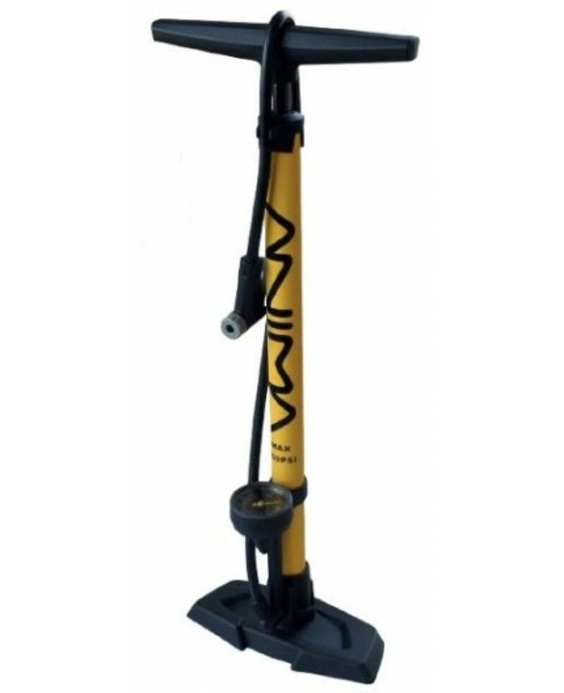 anima-pompa-da-pavimento-cmanometro