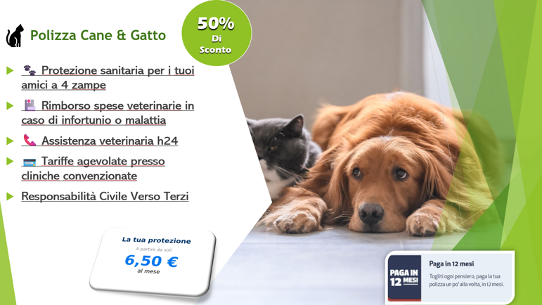 immagine 2025-09-14 104109
